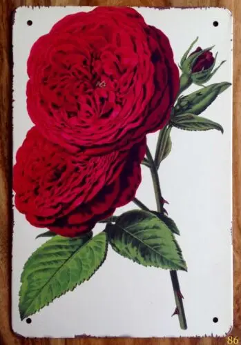 Vintage Red Rose Flower Bunch Retro Style Metal Sign Garden Kitchen Floral Shed sign