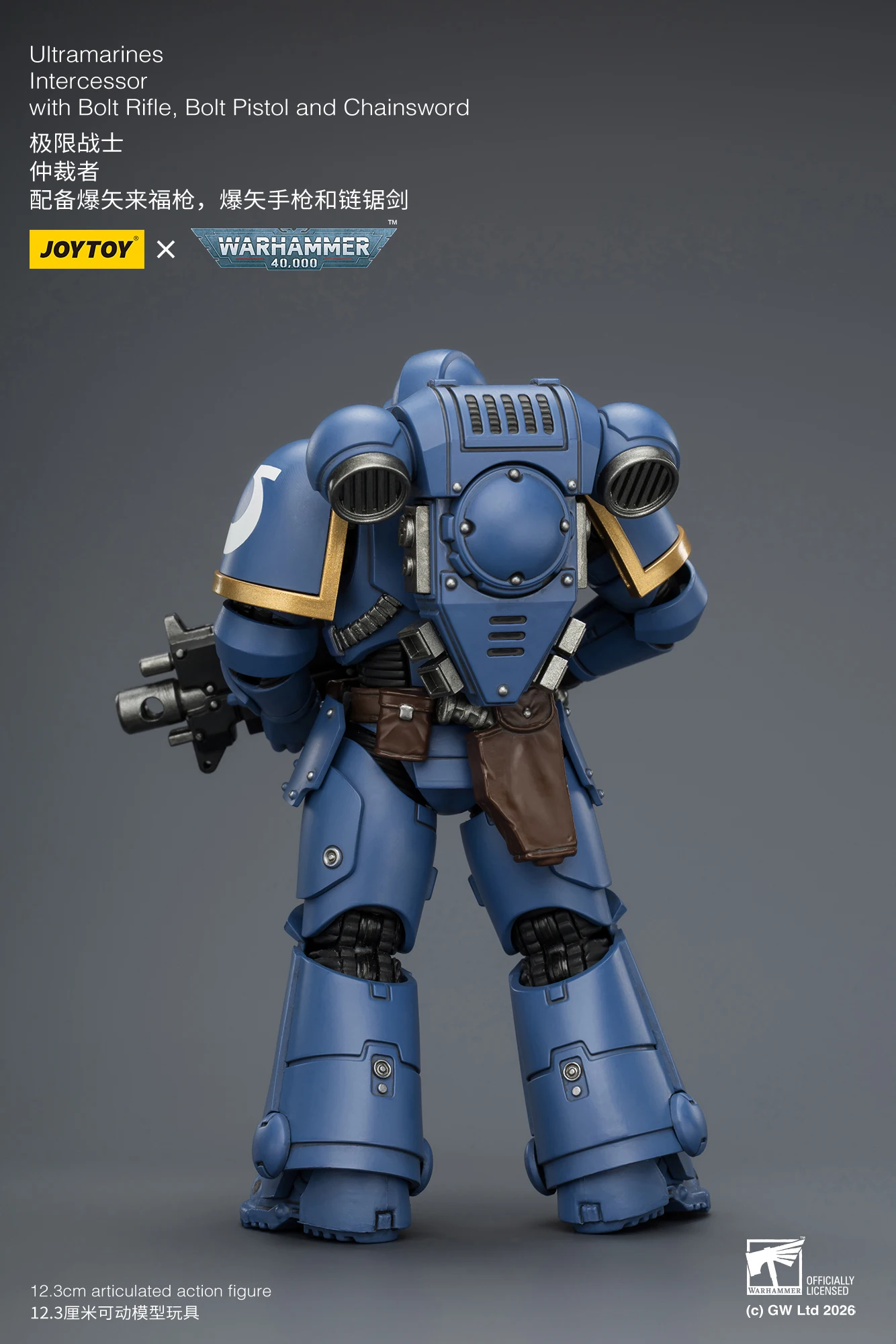 [AUF LAGER] JOYTOY Warhammer 40K 1/18 Actionfigur Intercessor mit Bolzenschrotflinte, Bolzenpistole und Kettenschwert 10 Stück Anime-Modell – Detail 2