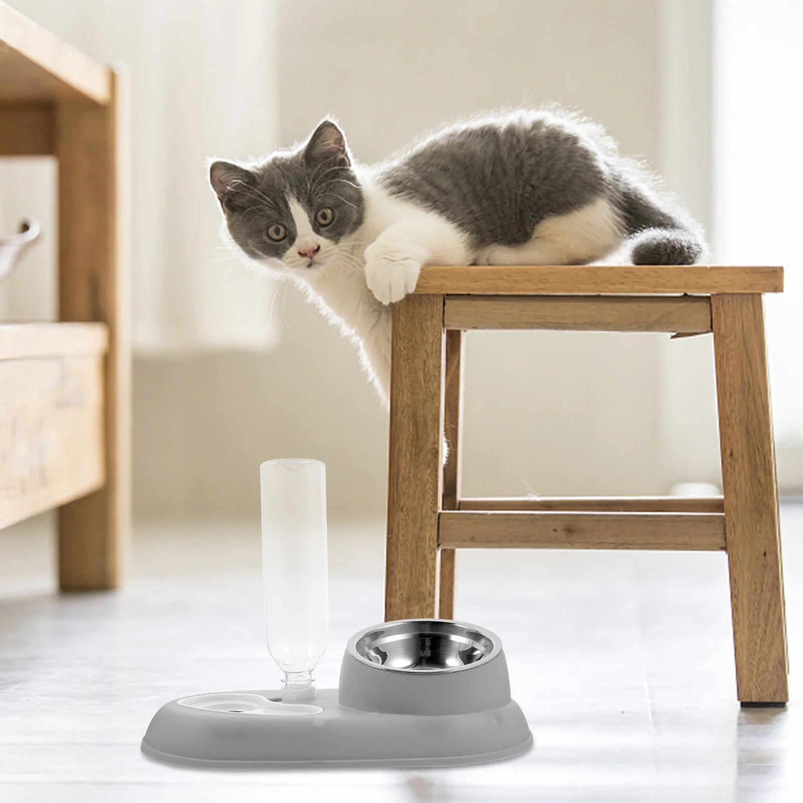 

Automatic Water Feeder for Cats and Dogs Multi-Function Pet Food and Water Bowl Detachable Stainless Steel PP Material Portable