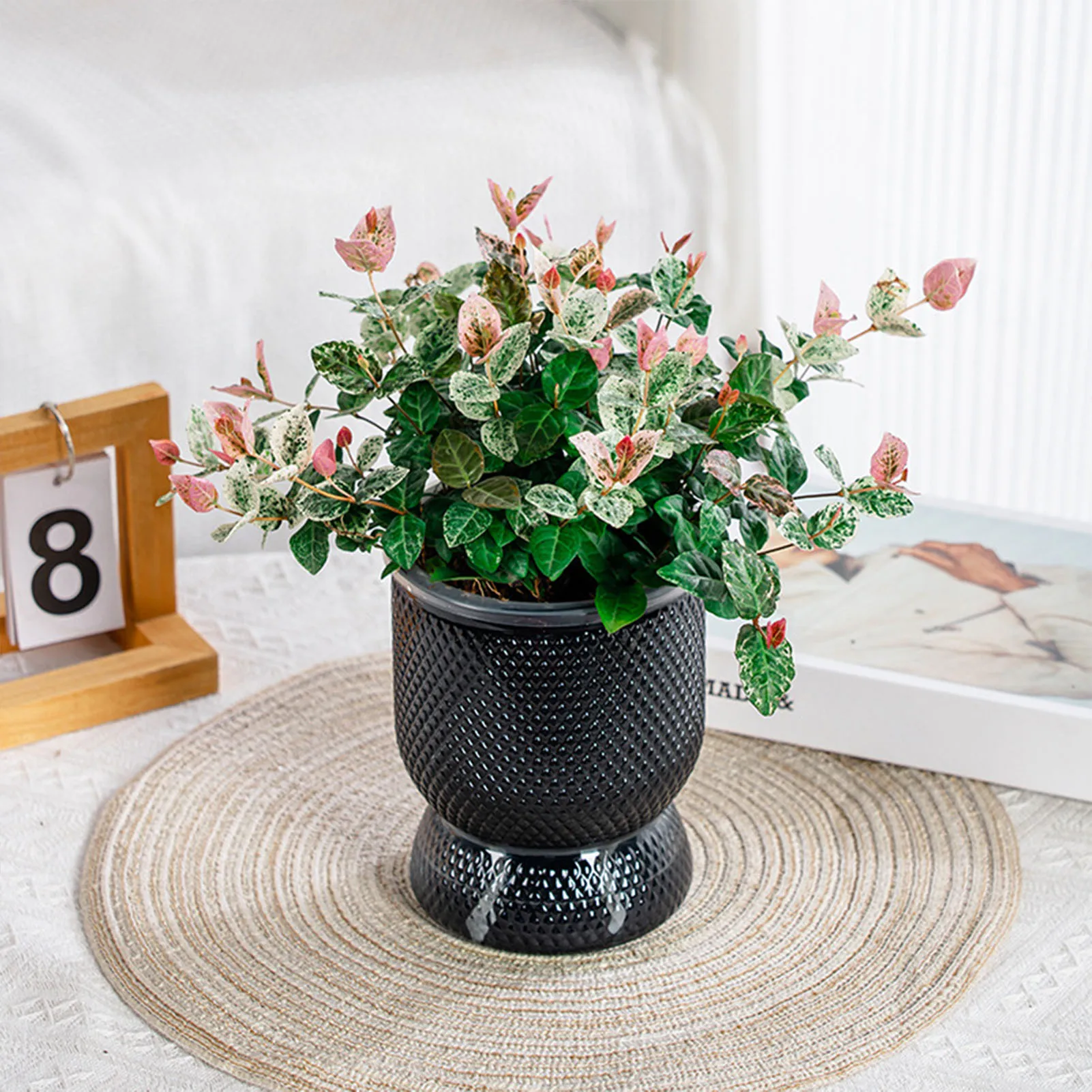 Self Watering Flower Pot Plastic Hydroponics Plants Pot Double Layer Lazy Flowerpot Cotton Rope Watering Succulent Potted