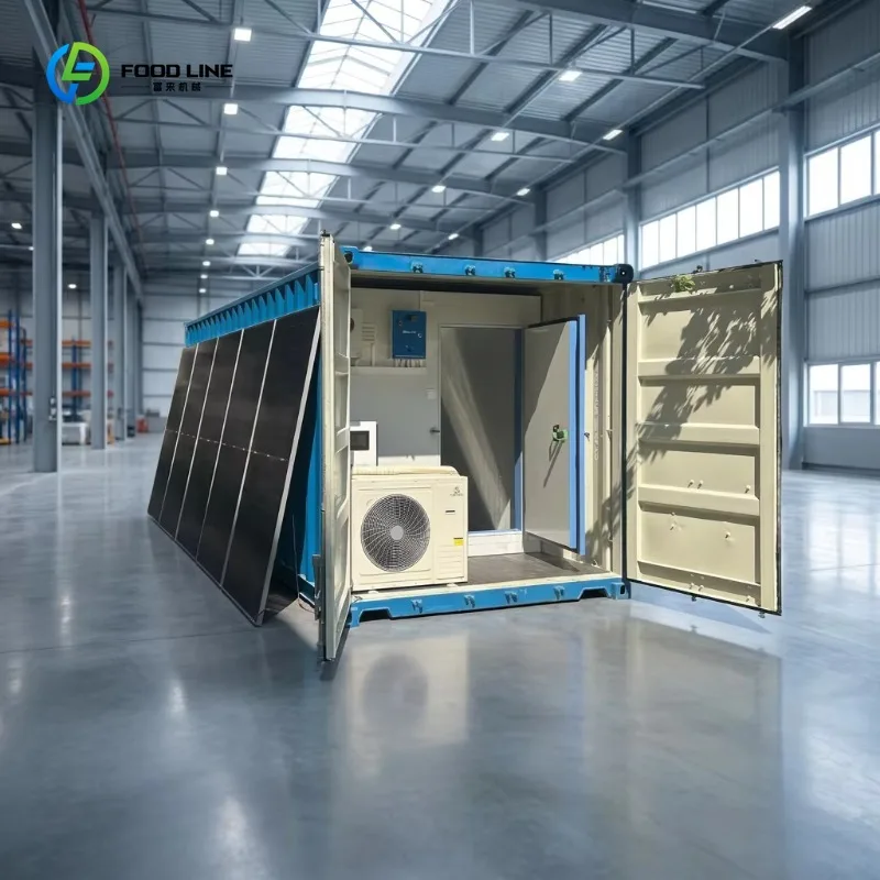 Solar Cold Room Walk in Freezer for Meat Fish Seafood Industrial Commercial Storage Custom