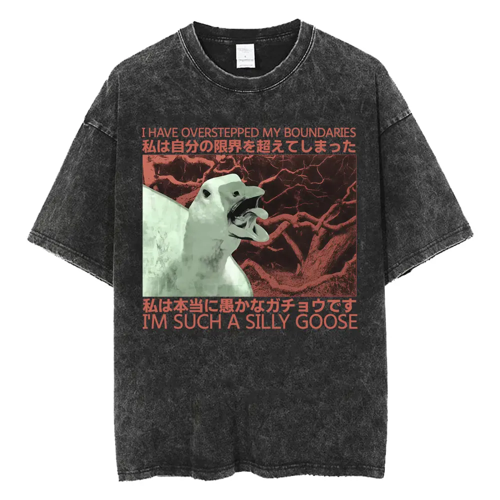 Ich Bin Übertrieben Gekommen - Ich Bin So Eine Dummheit Lustiges T-Shirt im Vintage-Stil Tiermotiv Verwaschenes T-Shirt für Männer und Frauen Lockeres T-Shirt