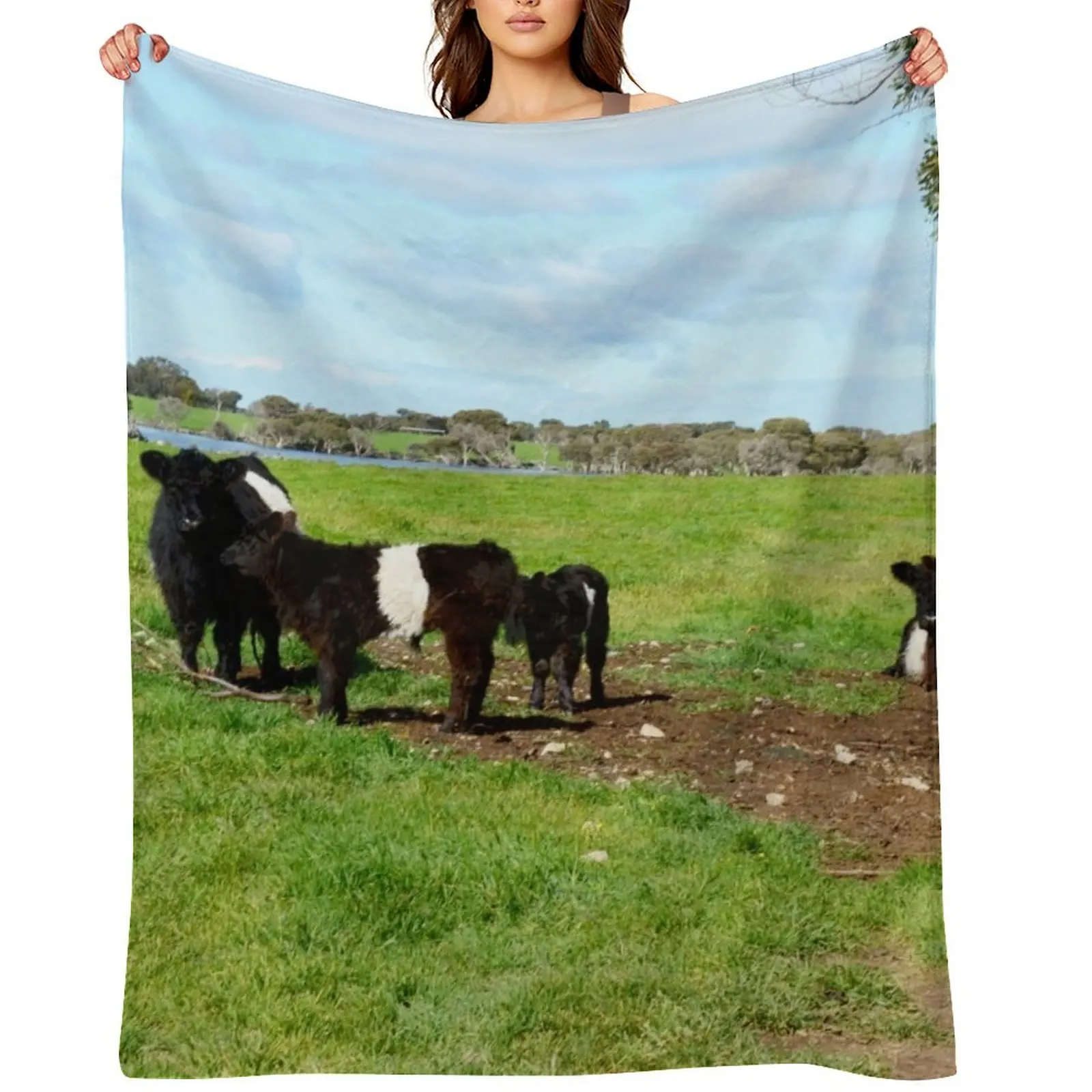 

Belted Galloway Cows And Calves, Throw Blanket Polar Bed linens Cute for winter Blankets