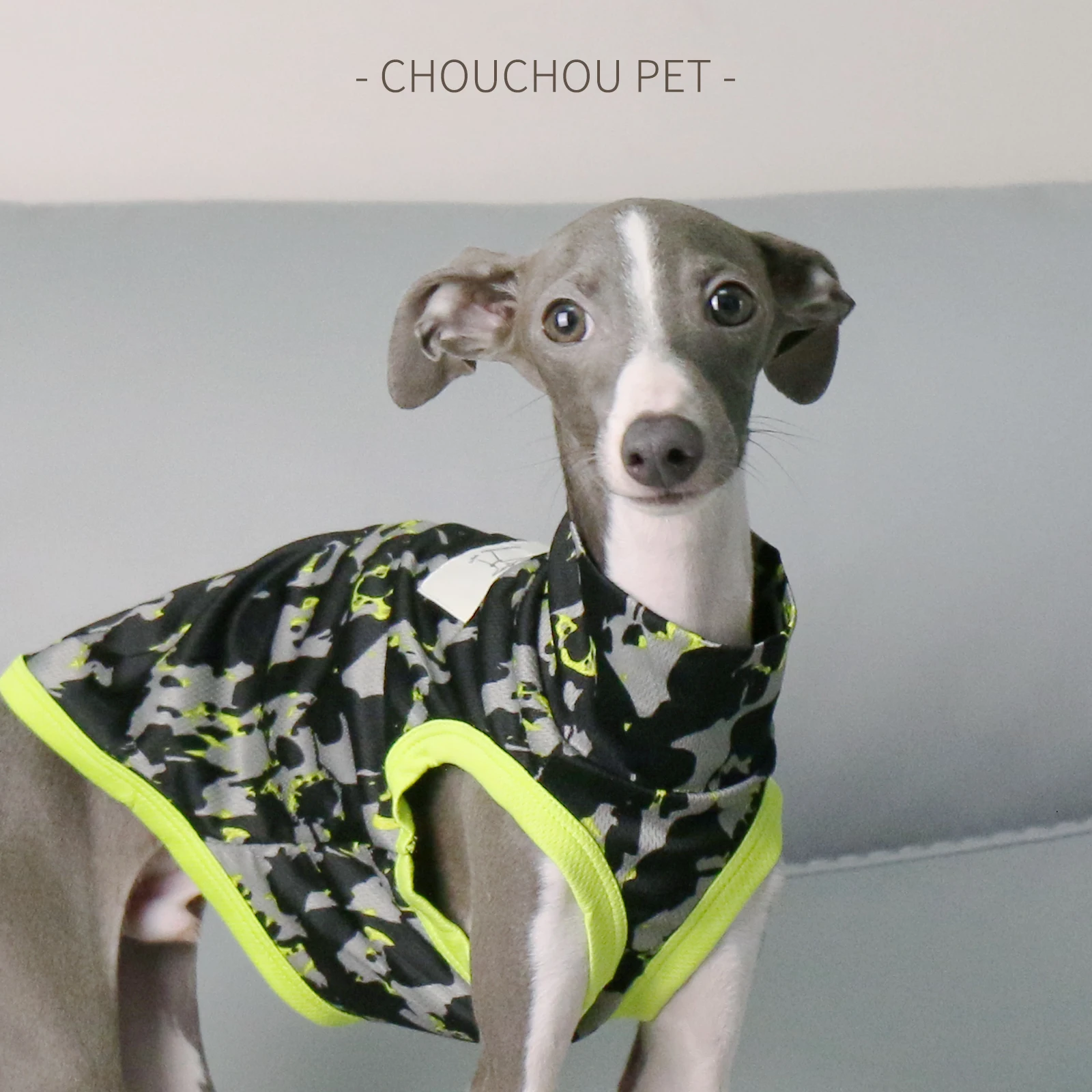 Italian Greyhound Whippet Summer Colorblock Vest Breathable Sunscreen Lightweight Pet Clothes