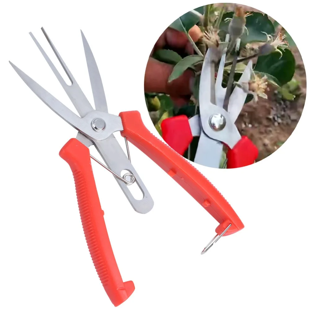 tesoura-de-poda-em-aco-inoxidavel-vermelha-com-laminas-duplas-retas-e-pontiagudas-para-jardinagem-e-poda-de-Arvores-frutiferas