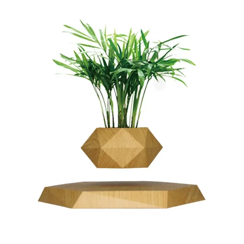 

Plants potted indoor green plants simulation can be planted succulent flower seedlings DIY European style ins wind ornament gree