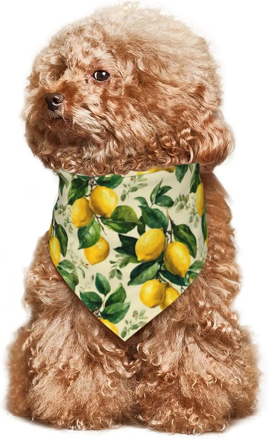 Yellow Lemon Leaves for Dog Bandanas Adjustable Dog Scarf for Boy and Girl Pet Bandana Triangle 1PCS Pet Scarf view 6