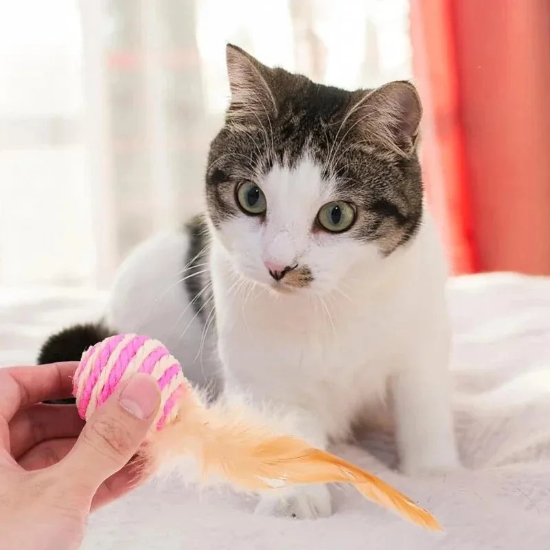 1pcs Cat Toy Pet Rattan Ball Cat Toy Funny Faux Feather Cat Bell Ball Kitten Playing Interactive Ball Toys Pet SuppliesPet Items