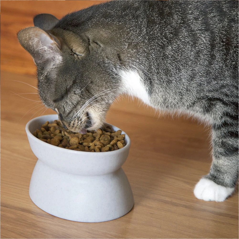 

2Pcs Pet Bowl Kitten Food Box Slanted Feeder Easy Clean Durable PP Material Dog Cat Household Plastic Pet Supplies
