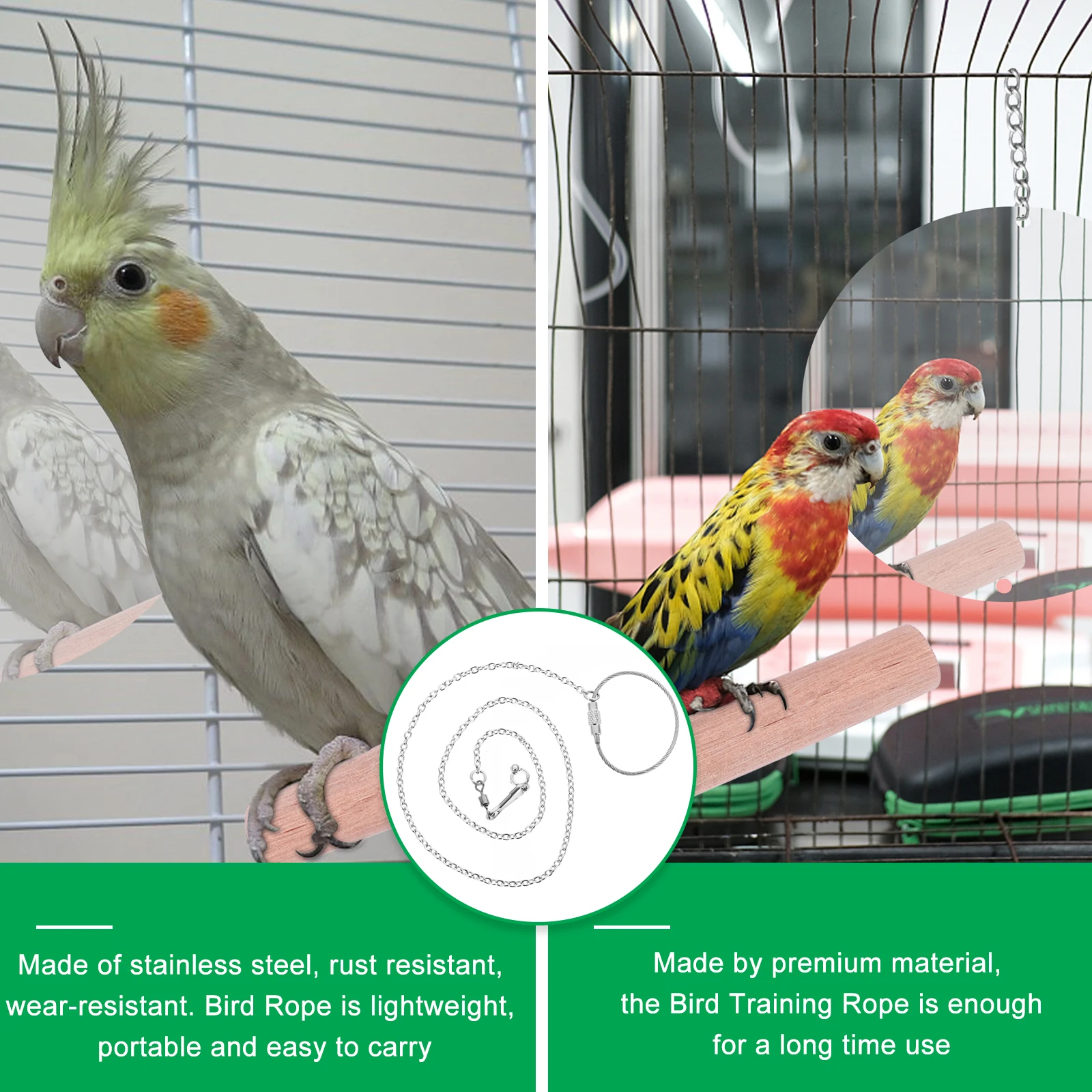 

Stainless Steel Bird Chain Leash for Parrot Training Foot Accessories Pet Accessory Reinforcing Chains Anklet
