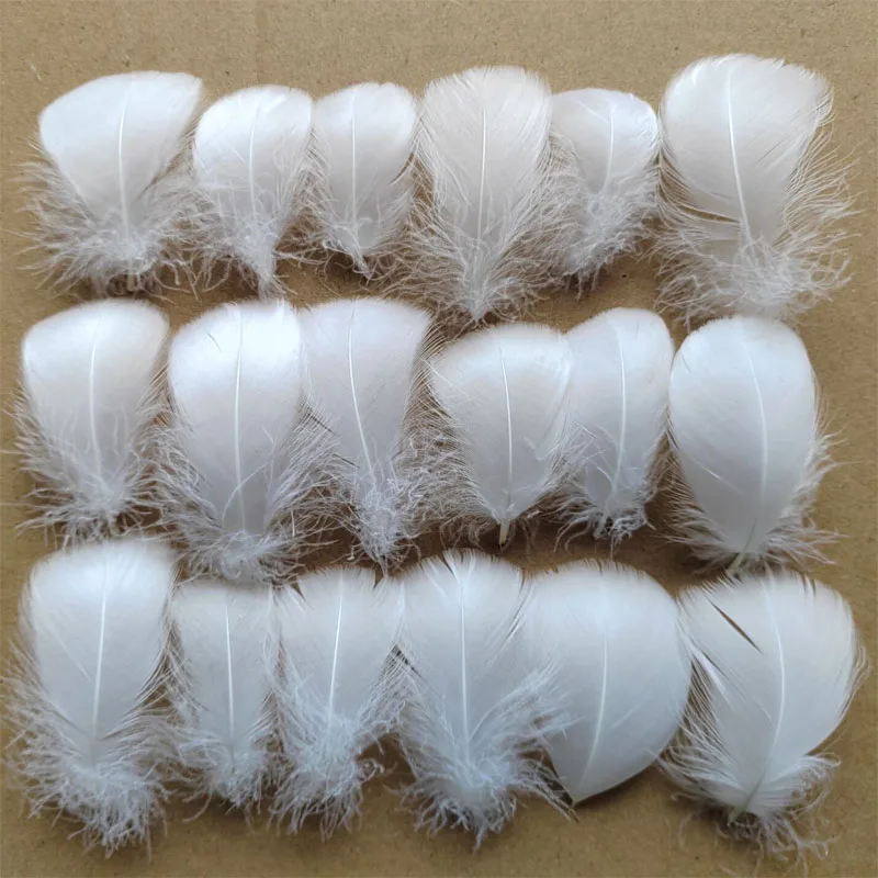500Pcs Natural Bright White Goose Coquille Feathers, 4-12cm Loose Decorative Feathers for Bridal Accessories, Fascinators, DIY
