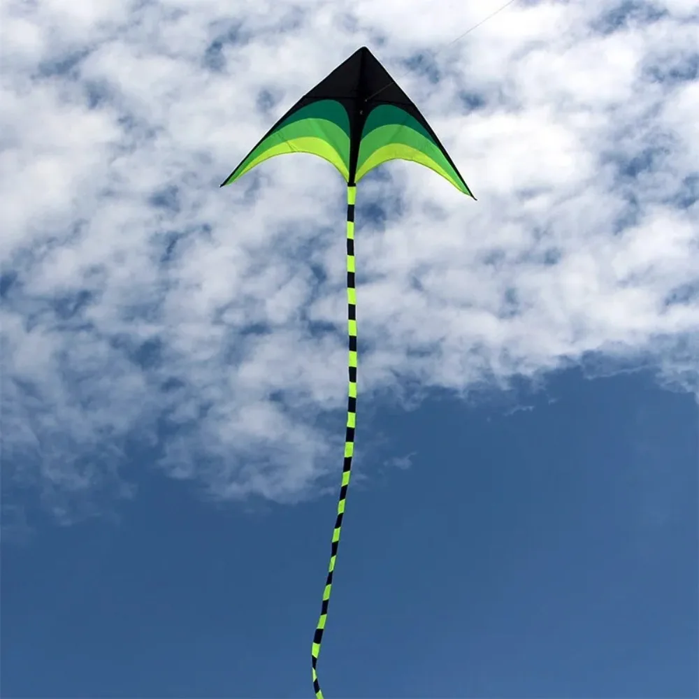 New Easy Fly 1.6m Large Delta Kite Long Tail Ripstop Good Flying Kite with 100M Kite Line Children Outdoor Kites Kid&Adults