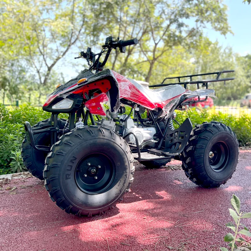 Factory Direct 125CC ATV with Chain Drive Semi-Automatic and Easy to Operate CE Certified for Teenagers Customizable Support