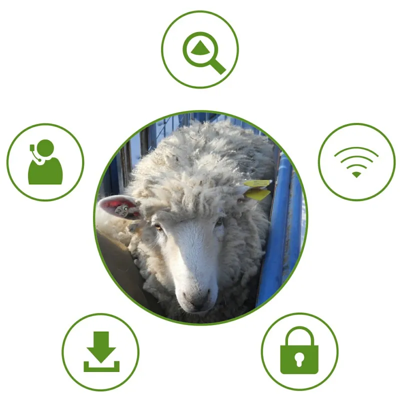 البيطرية الحيوان المسح الضوئي الموجات فوق الصوتية الحمل الماسح الضوئي الماعز/الأغنام الماسح الضوئي خنزير الماسح الضوئي الخنزير آلة الموجات فوق الصوتية