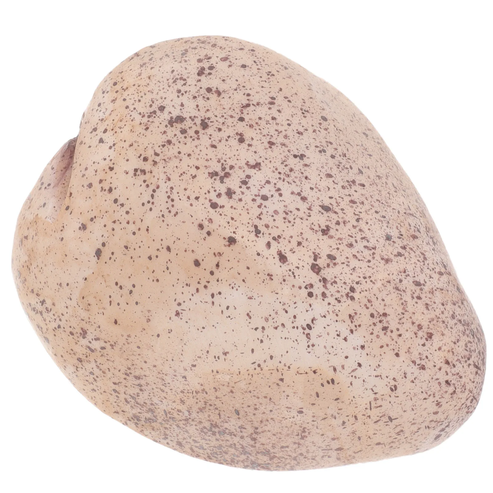 وهمية حجر حديقة ديكور روك إخفاء حامل الغيار في الهواء الطلق لمفتاح إخفاء الخارجي حامل مفتاح مخفي للمخفي الخارجي #4