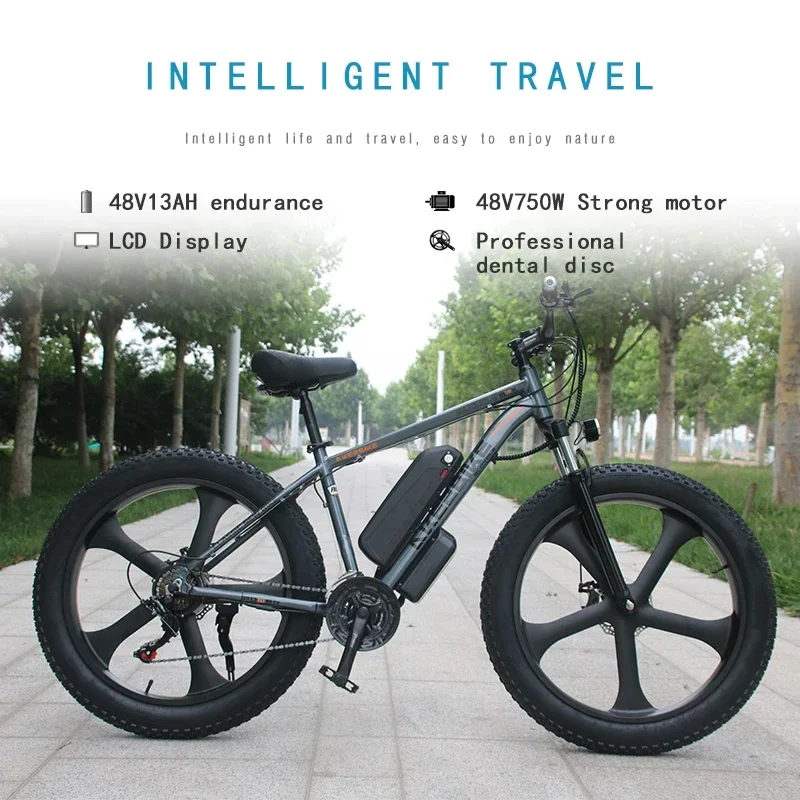 Off-Road Electric Bicycle 750W Motor 48V13AH Battery 26*4.0 Tires Snow Mountain Transportation E-Bike 35KM/H Urban Electric Bike