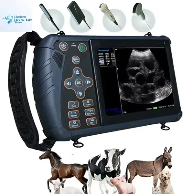 2026 New, High Quality, Dawei Portable Veterinary Machine for Cow Gallstone Detection, Compact Vet