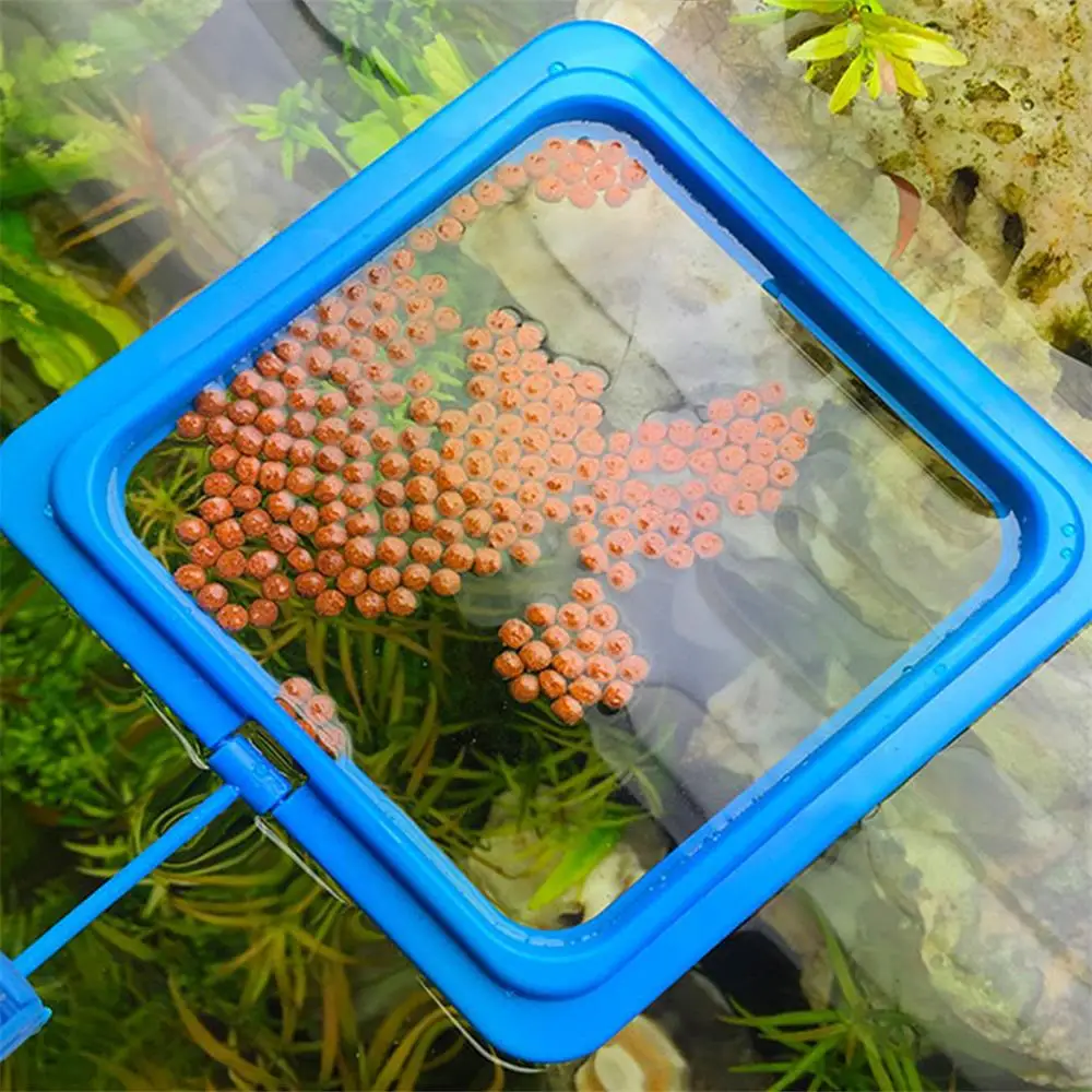 Anillo flotante azul para alimentación de peces en acuario bandeja - imagen 5