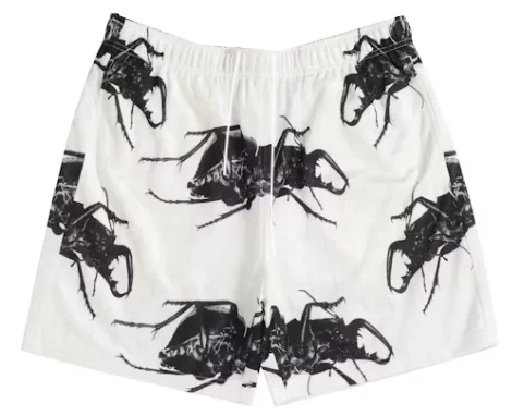 

2025 Mesh Basketball Shorts Men's and Women's Same Outdoor Sports Fitness Loose Elastic Shorts Quick-drying Breathable Shorts