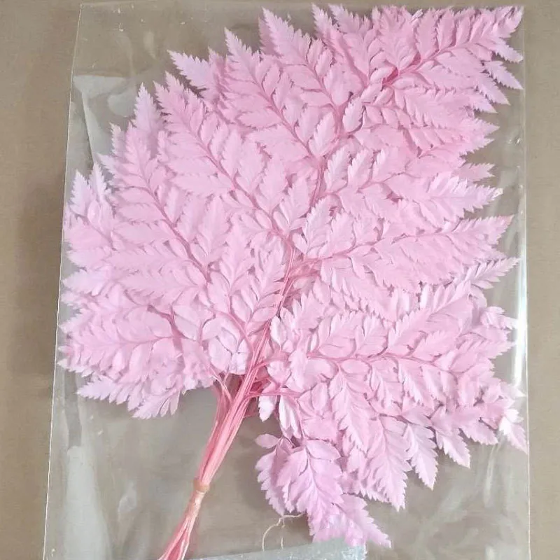 Natural Lern Leaves About 15cm Long High Goat Tooth Dried Flowers Pink White Red 10pcs/Lot Bouquet For European Style Home Decor