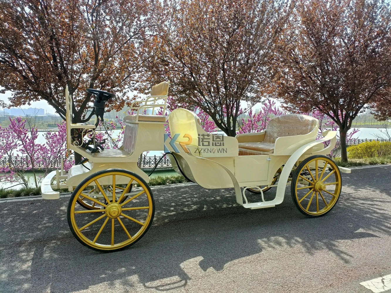 Victoria Horse Carriage Princess Sightseeing Horse Carriage for Sale/Customized Tour Sightseeing Horse Carriage for sale