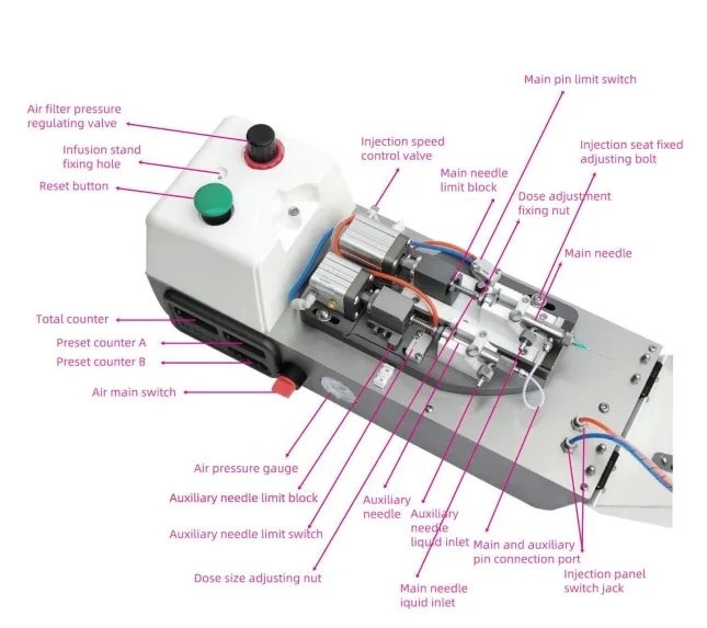 

Hot Sale Automatic Continuous Style Pneumatic Machine for Chick