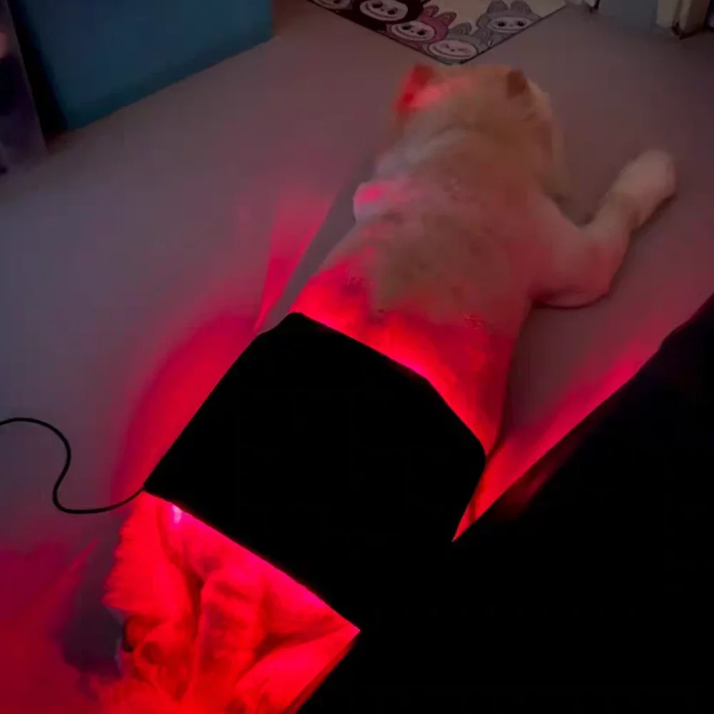 Dog Pain Relief Red Light Therapy Device, Veterinary Grade LED Physiotherapy Equipment for Joint and Muscle Pain