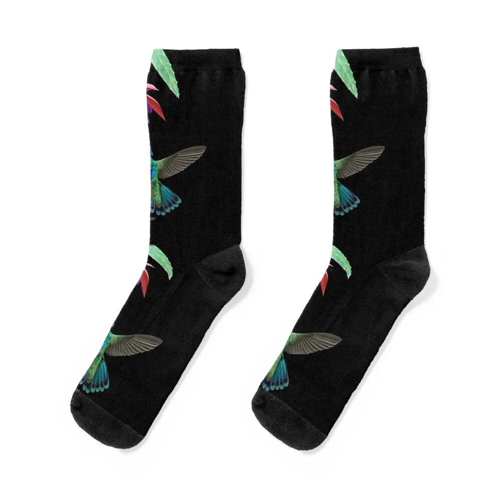 Hummingbird Socks funny sock basketball gym Children's Woman Socks Men's hip hop Running anime Soccer Man Socks Women's