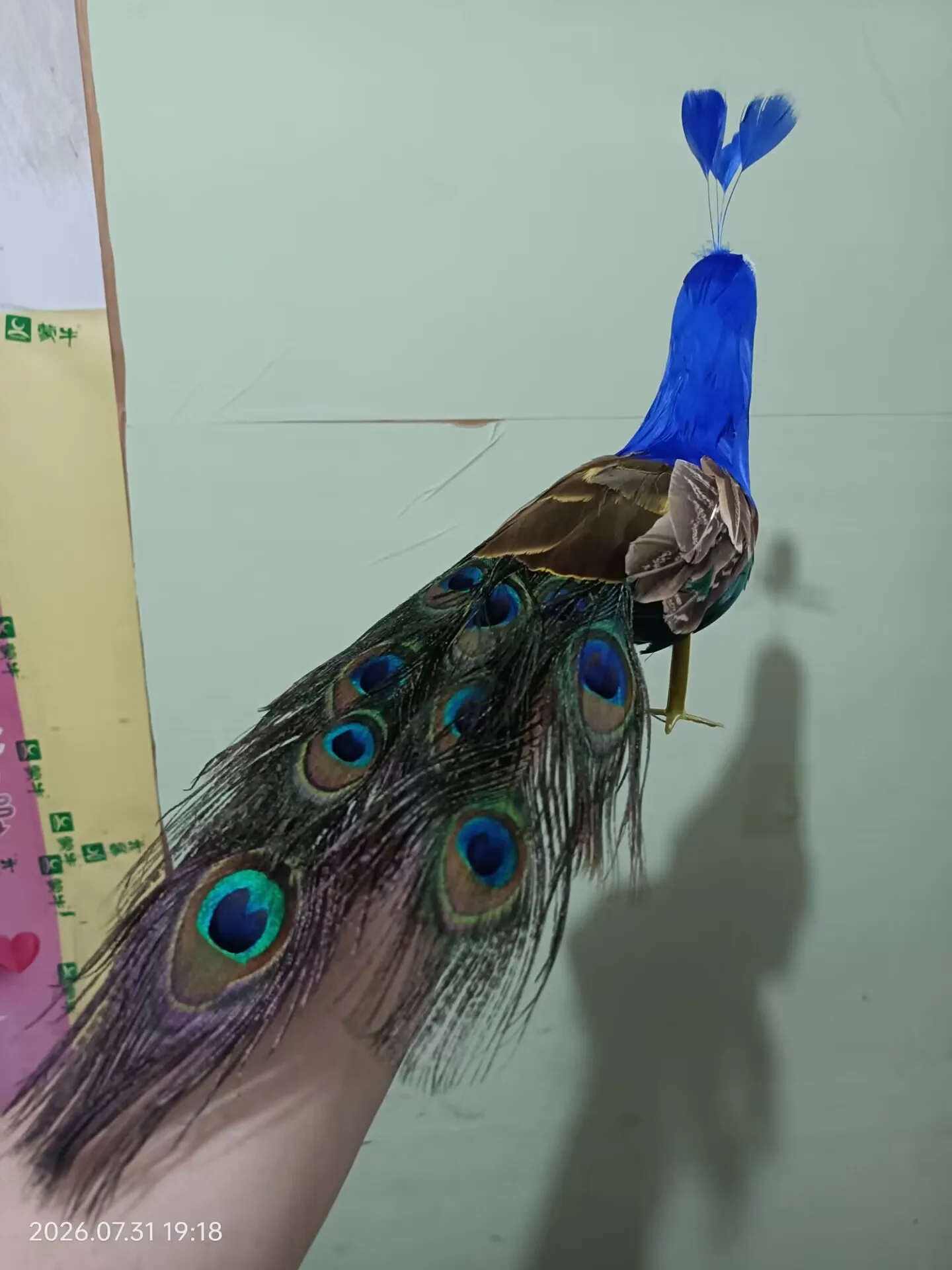 small cute Peacock Model Foam & Feather Simulation Bird Home Decor about 35cm
