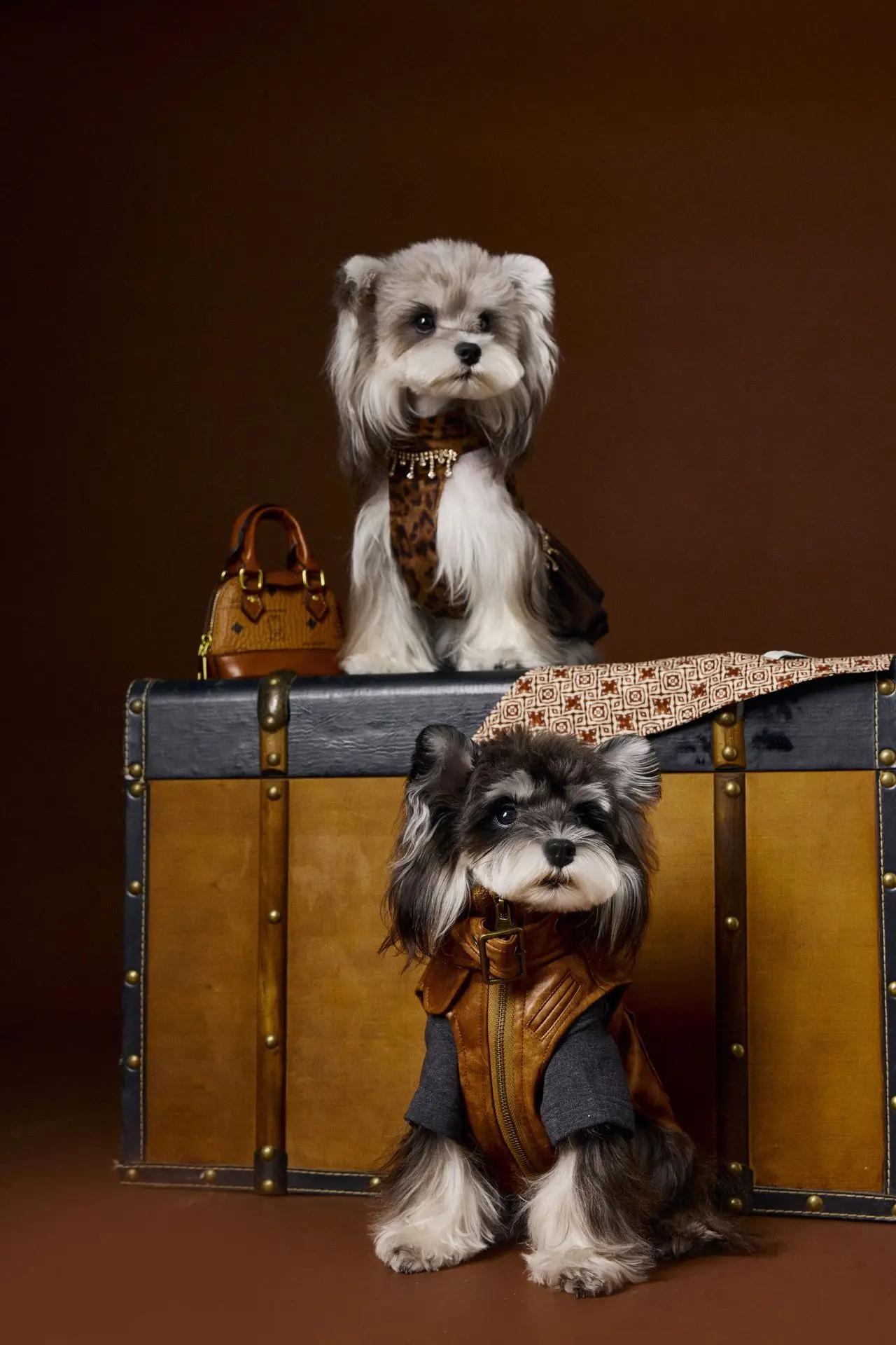 

Retro And Stylish Brown Eco-Friendly Pet Leather Jacket With Western Cowboy Style - Dog Vest Jacket