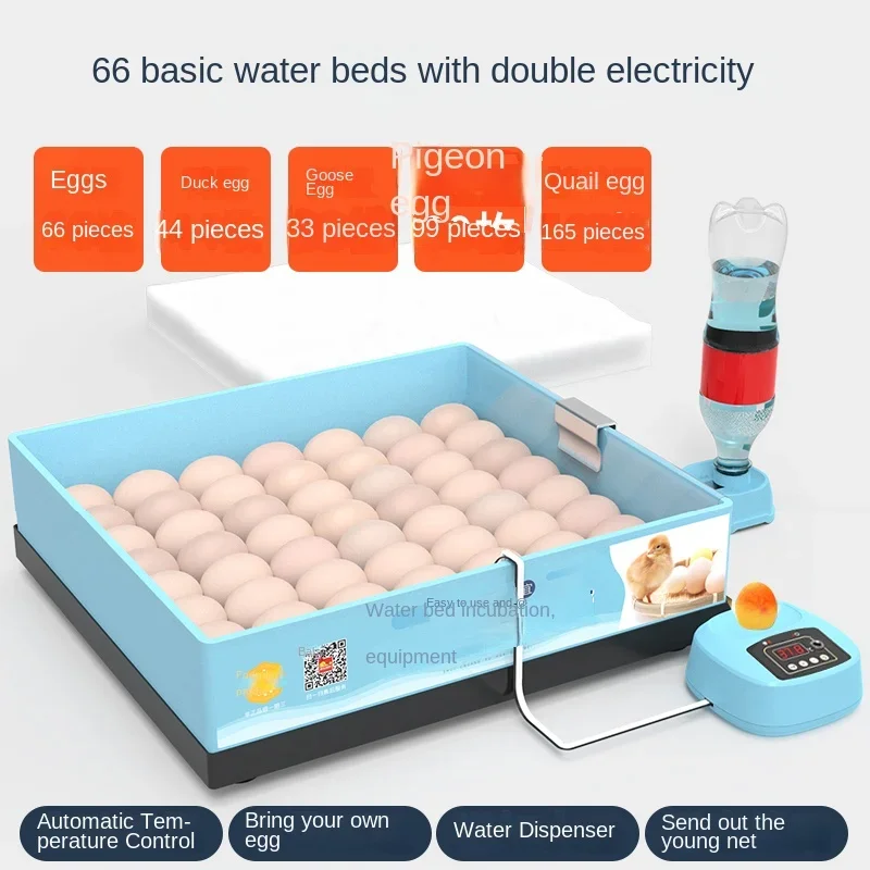 Waterbed duck goose rutin chickegg  eggsmall household type automatic