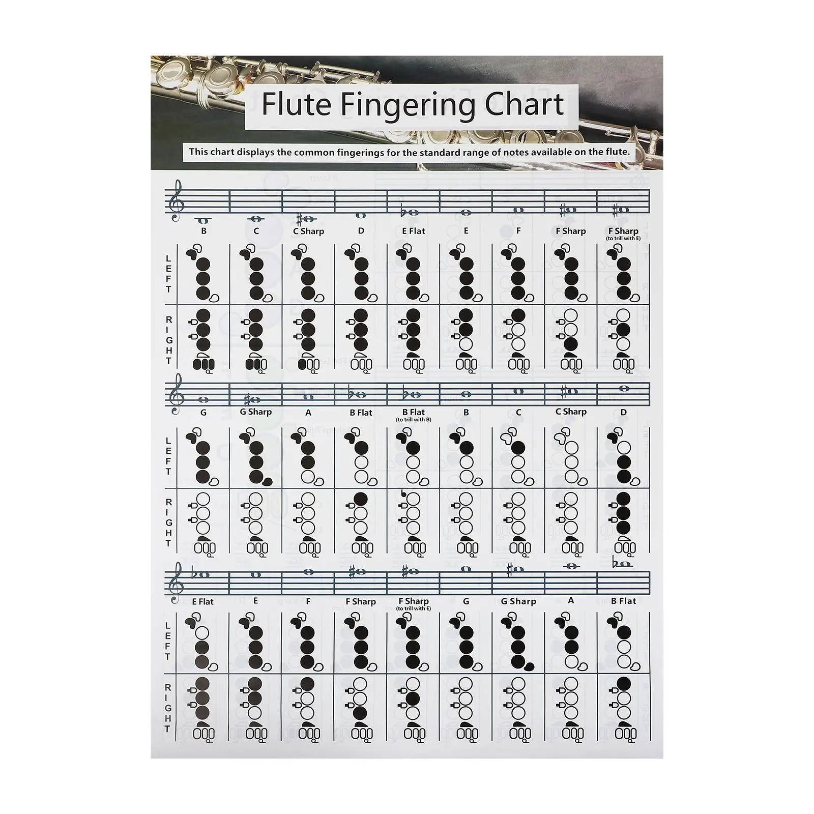 

Flute Chord Diagram Chart Coated Paper Poster Durable Material Beginner Guide Musical Instruments Accessories