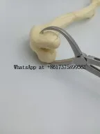High Gr Veterinary Limit Reduction Forceps Animal Instrument