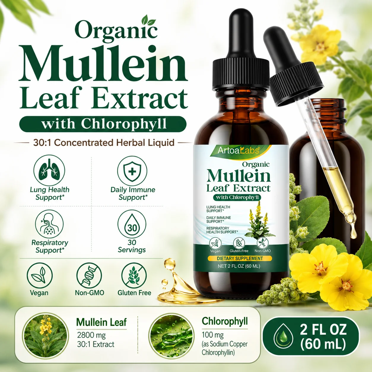 Herbal Wellness In - Mullein Leaf Extract with Chlorophyllin, Alcohol-Free