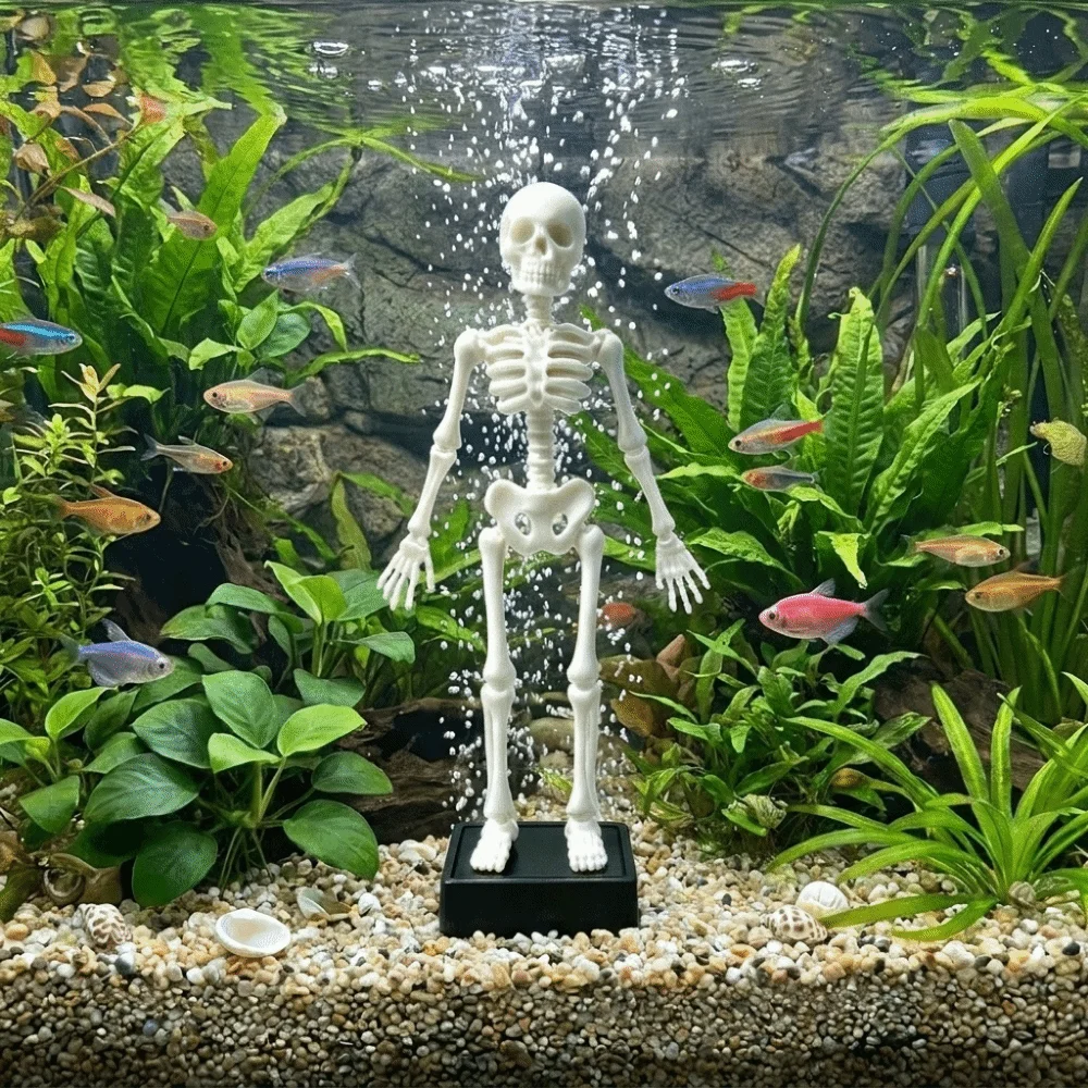 Drukowany w technologii 3D tań – Aquarium & Marine Museum Universiti Malaysia Sabah Kota Kinabalu Sabah Photos recenzja i cena