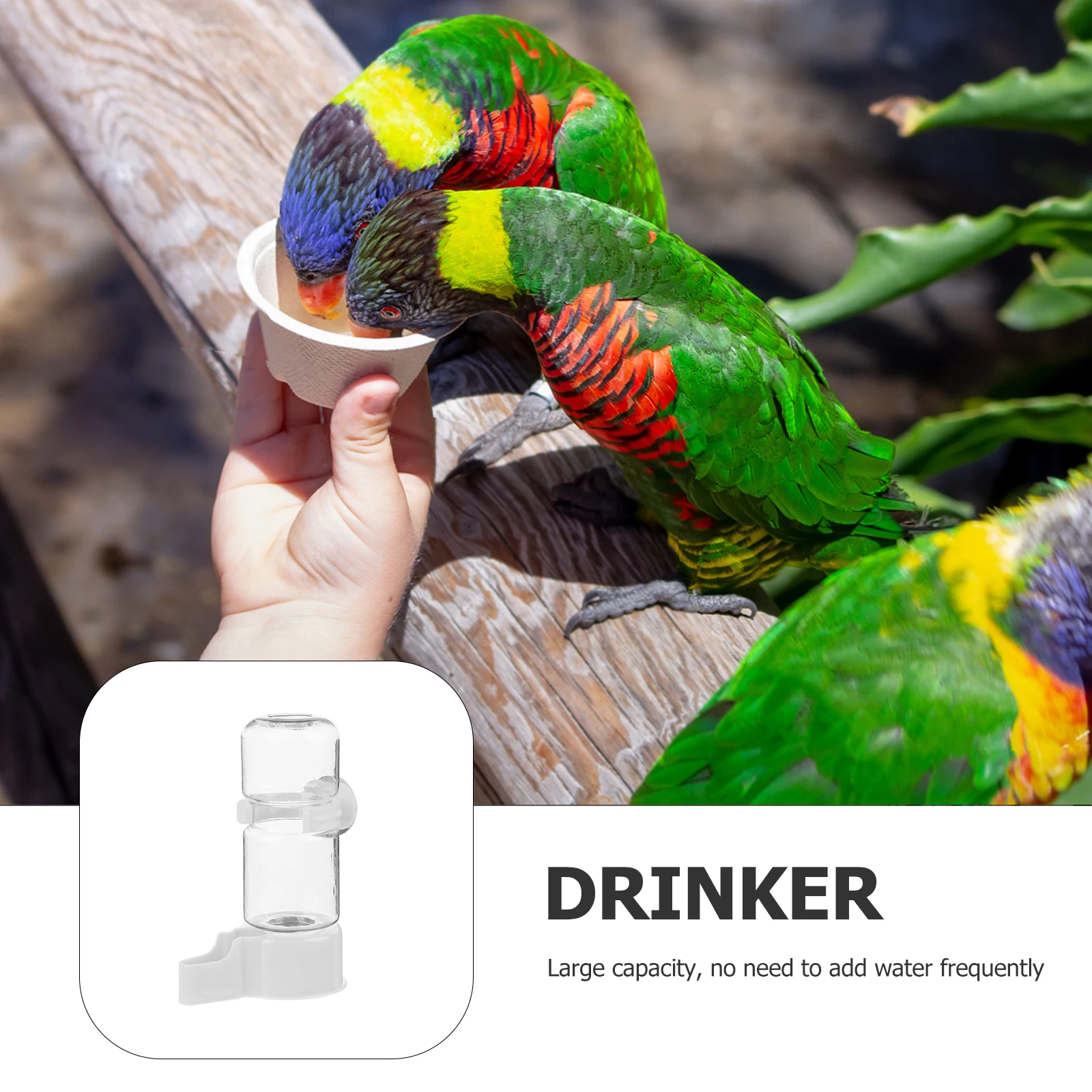 

Bird Drinker Budgie Water Dispenser Feeders Drinking Accessory Automatic Parrot Cage Container