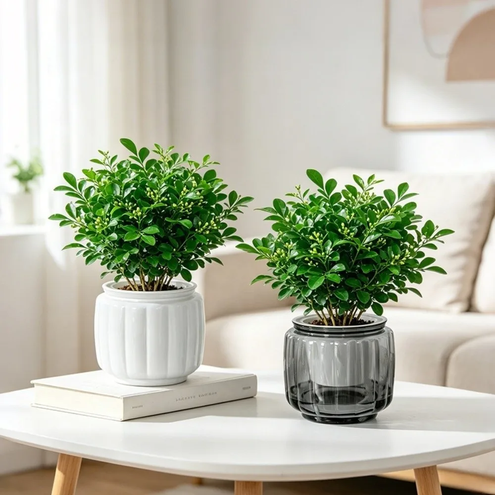 Fashion Self Watering Hydroponic Plants Pot Plastic Removable Mini Succulent Planter Tabletop Vase Flowerpot