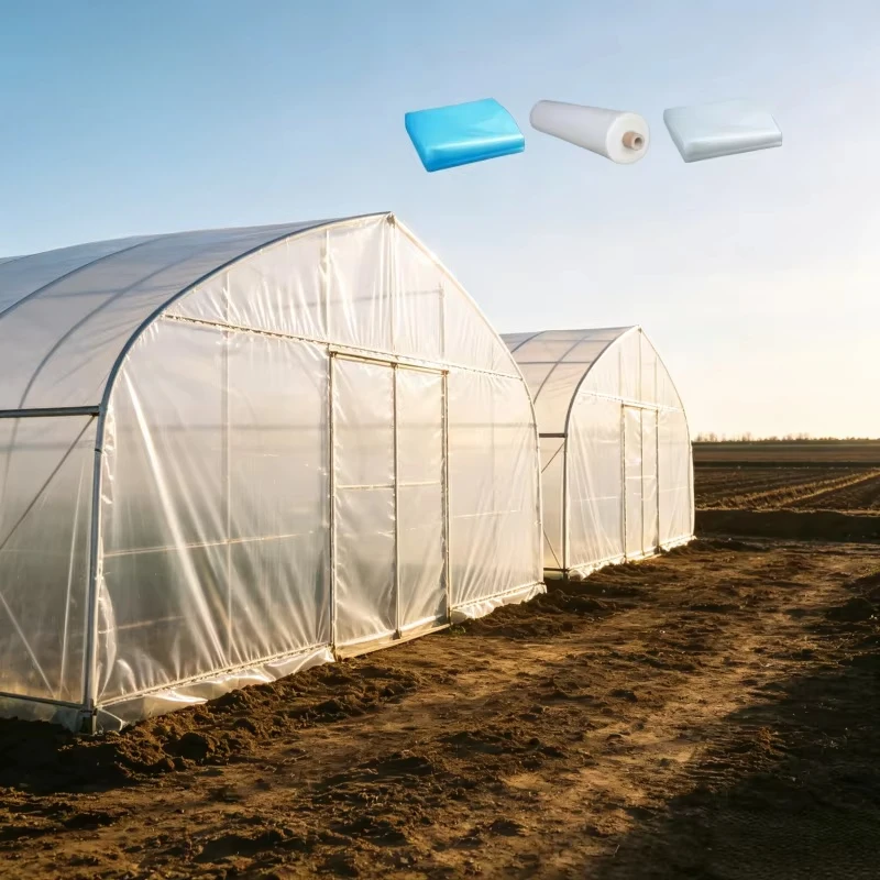 Compact Roll Greenhouse Film Space Saving PO Plastic Cover Customizable Size Shipping Saving Película de Invernadero