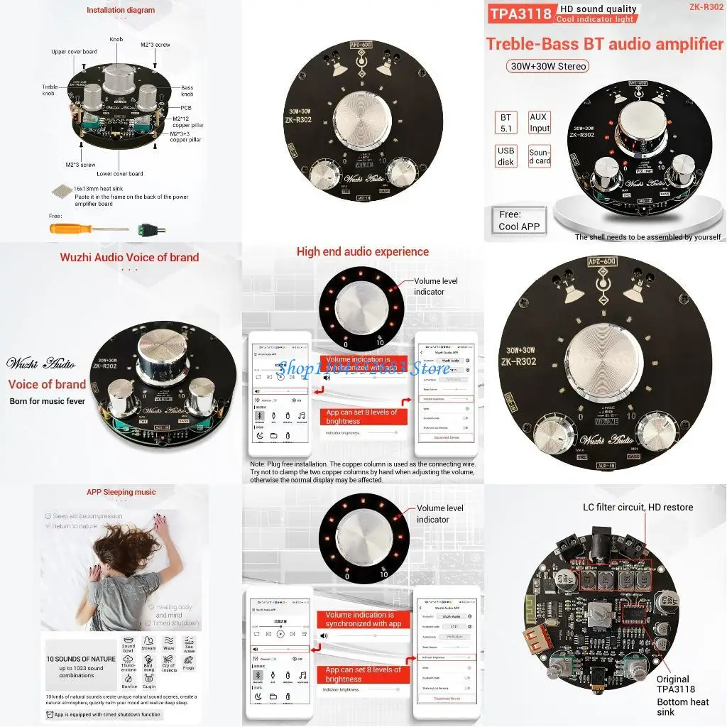 Y6GD Bt Amplifier B… - image