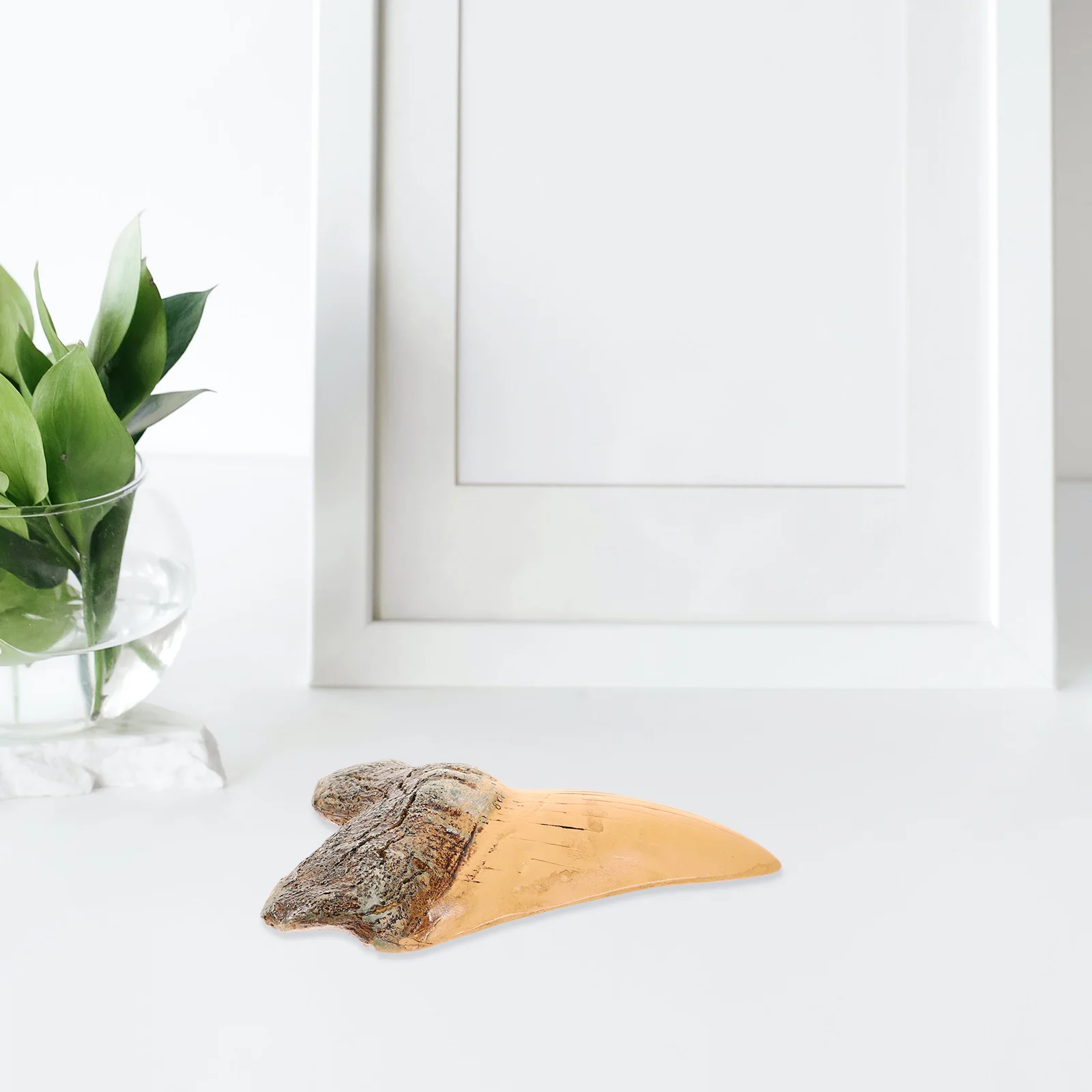 

Retro Decoration Resin Realistic Fossilized For Collection Desktop Ornament Home Decor Crafts Resin