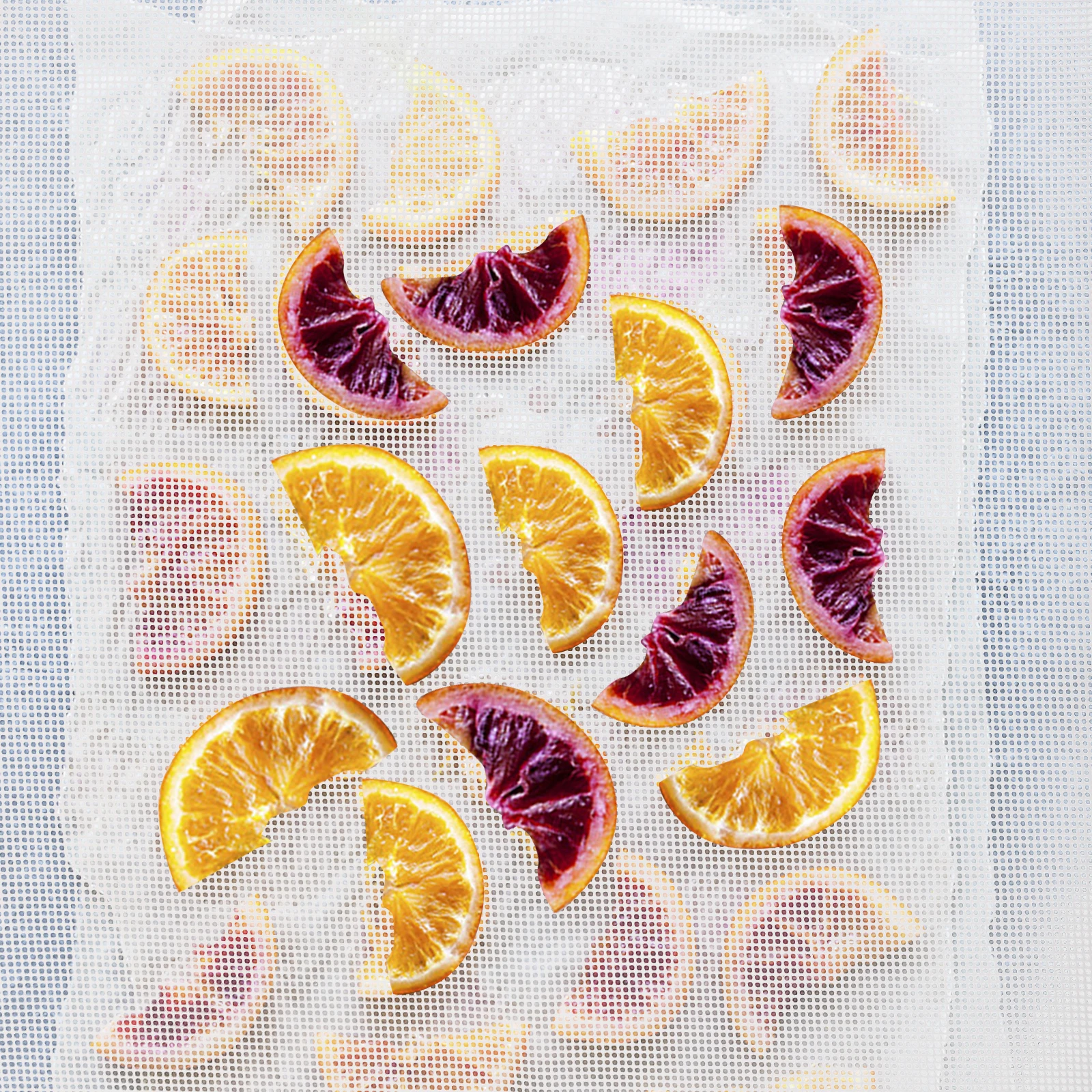 

6pcs Food Dehydrator Trays Reusable Nonstick Elastic Vegetable Grain Dryer Sheets Mesh Grain Drying Screen Mats