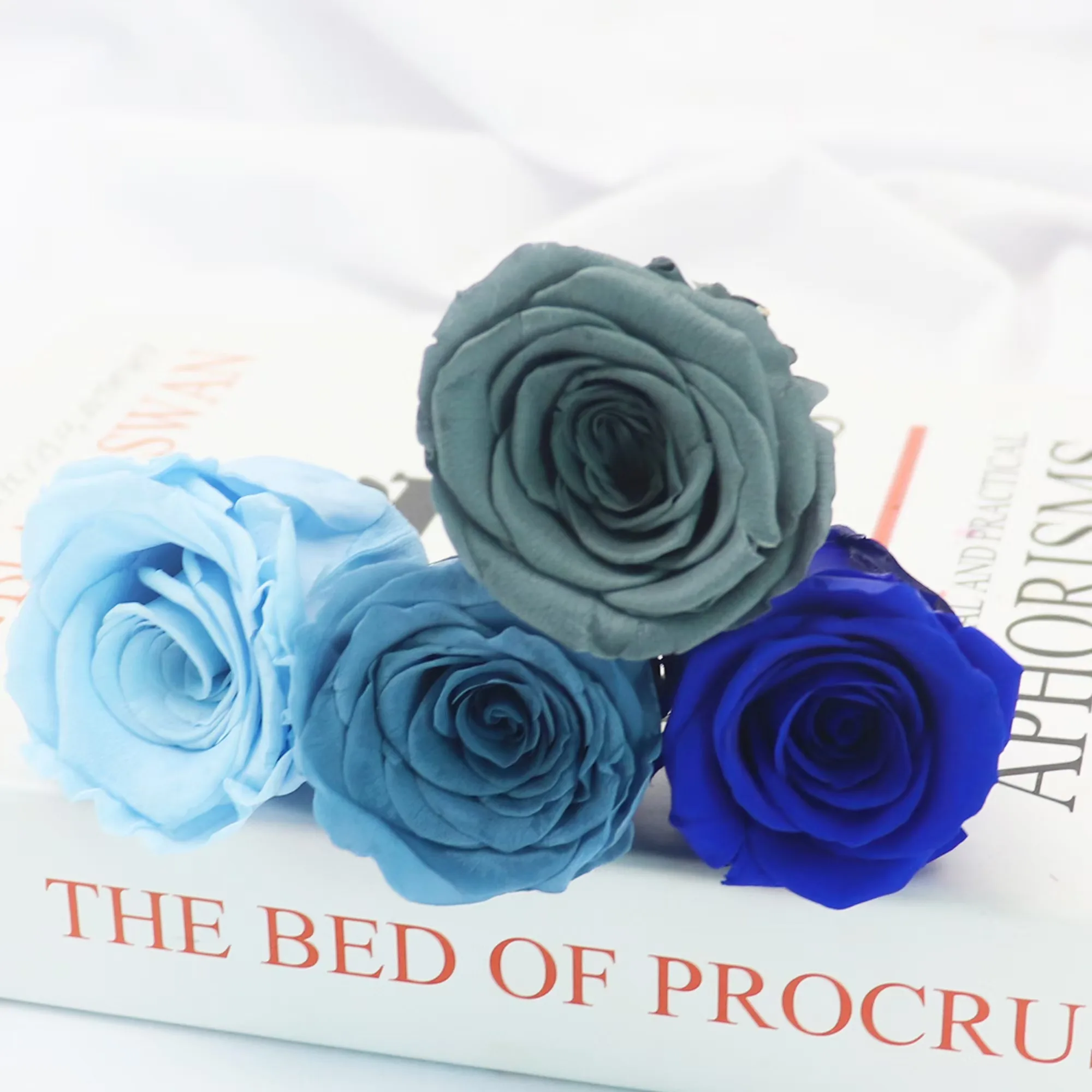 Grade B 5-6cm Preserved Rose Heads, 10pcs/box, Real Eternal Rose Head，For DIY Crafts Valentine's Day Mother'S Day Gift