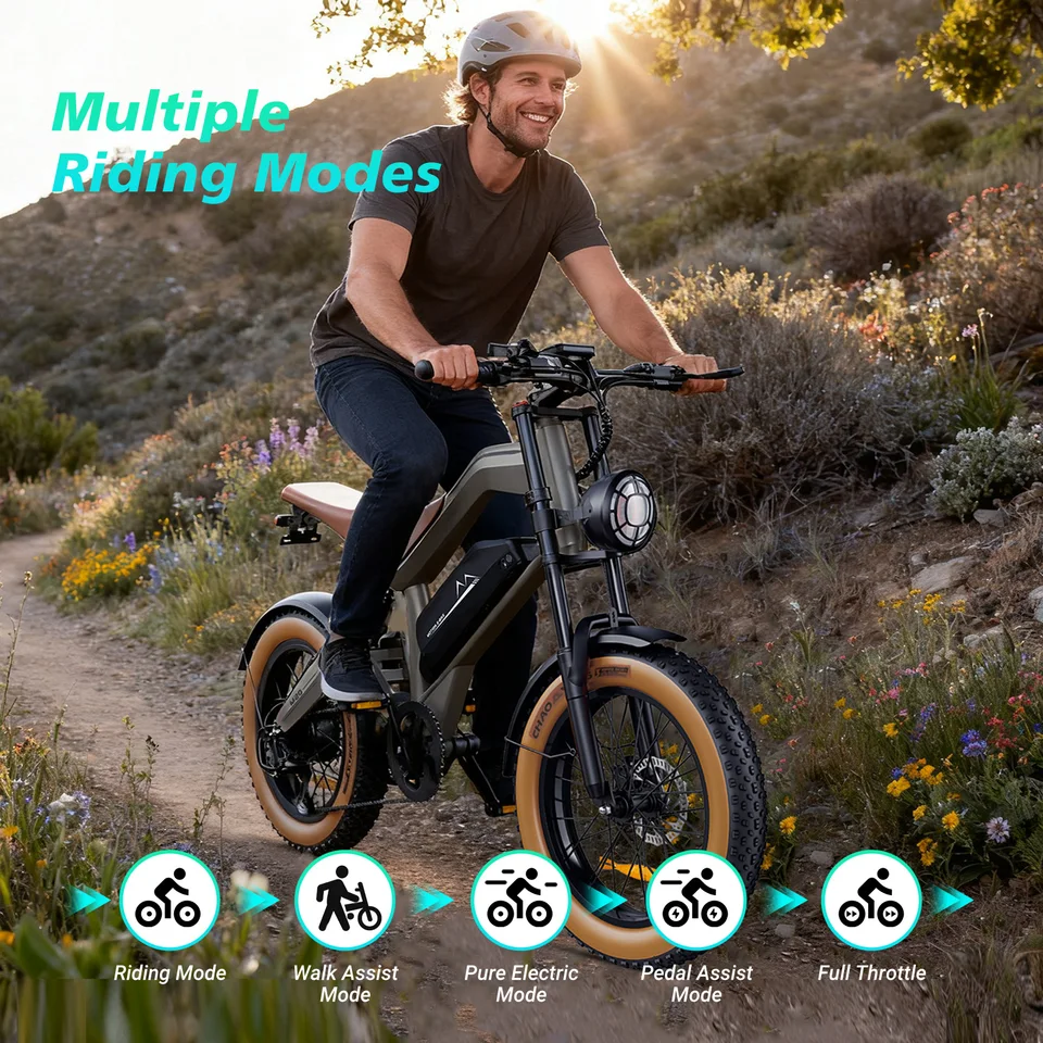 DYU M20 Electric Bike 1500W Peak Motor 48V 18.2Ah Lithium Battery 20x4.0 Inch Fat Tire E-Bike with Disc Brakes image 7