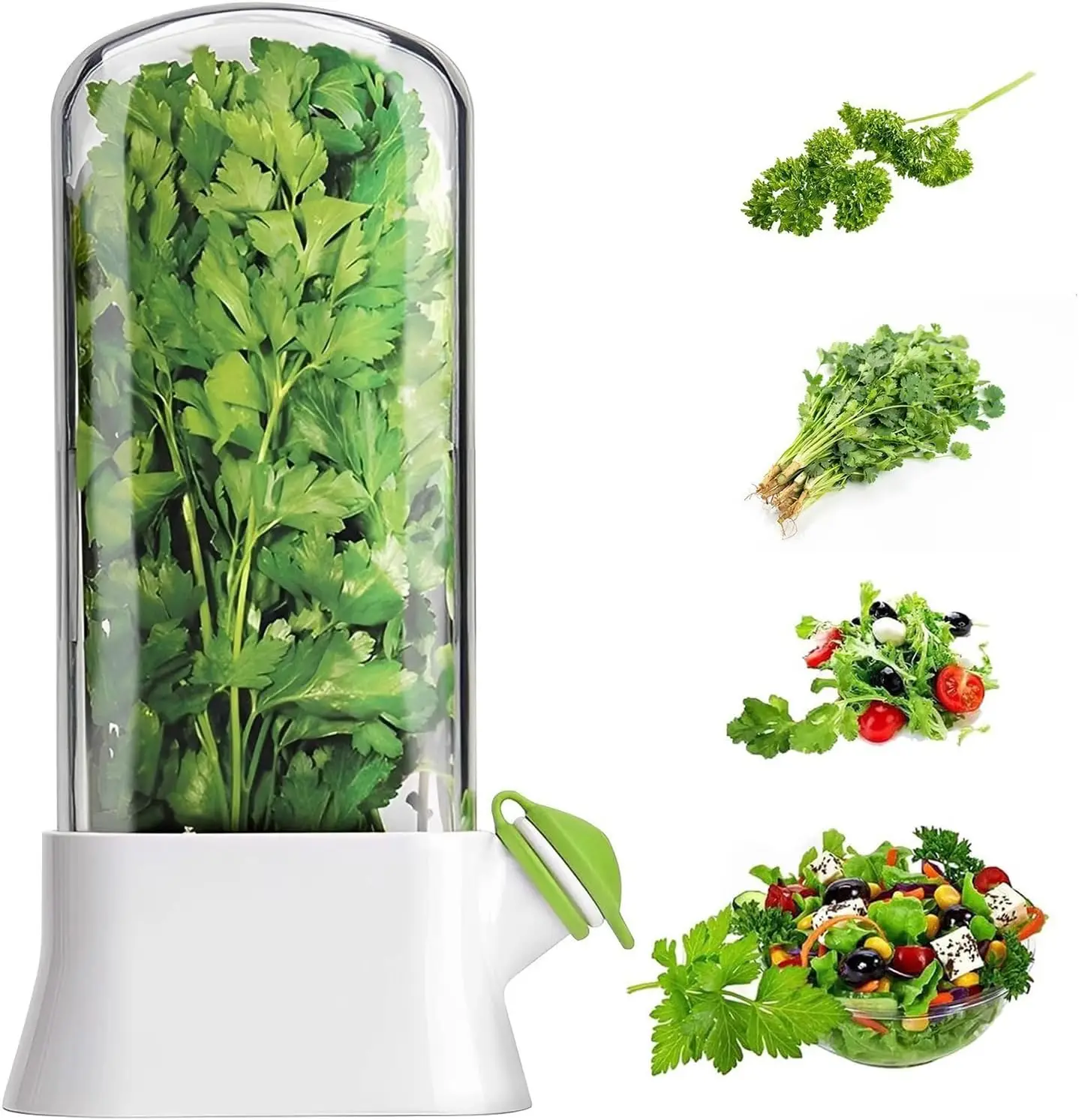 Conservador de Hierbas para Refrigerador, Mantiene las Hierbas Frescas por Más Tiempo, Contenedor Versátil Premium para Guardar Cilantro, Perejil, Albahaca y Menta