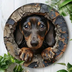 Dachshund in The Wall Metal Sign - Waterproof Decorative Plaque for Home, Garden, or Garage with Holes for Easy Installation