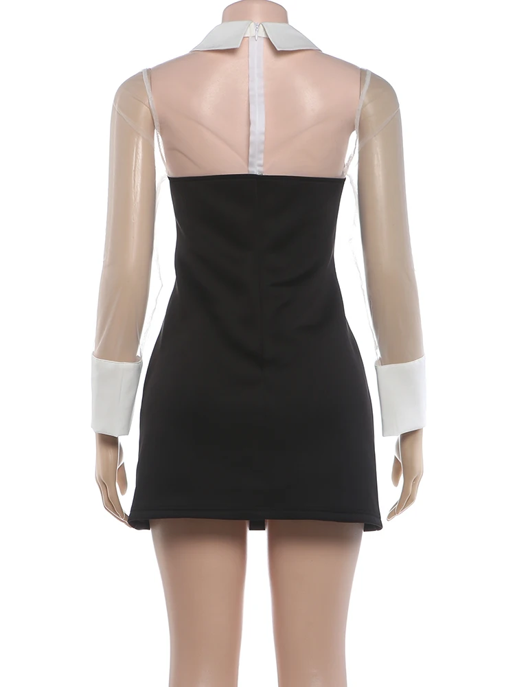 Weird Puss Fashion Mesh-Patchwork-Kleid für Damen, sexy, farbblockierend, trendig, mit Umlegekragen, langen Ärmeln, elegant, für Party und Club, figurbetont – Detail 5