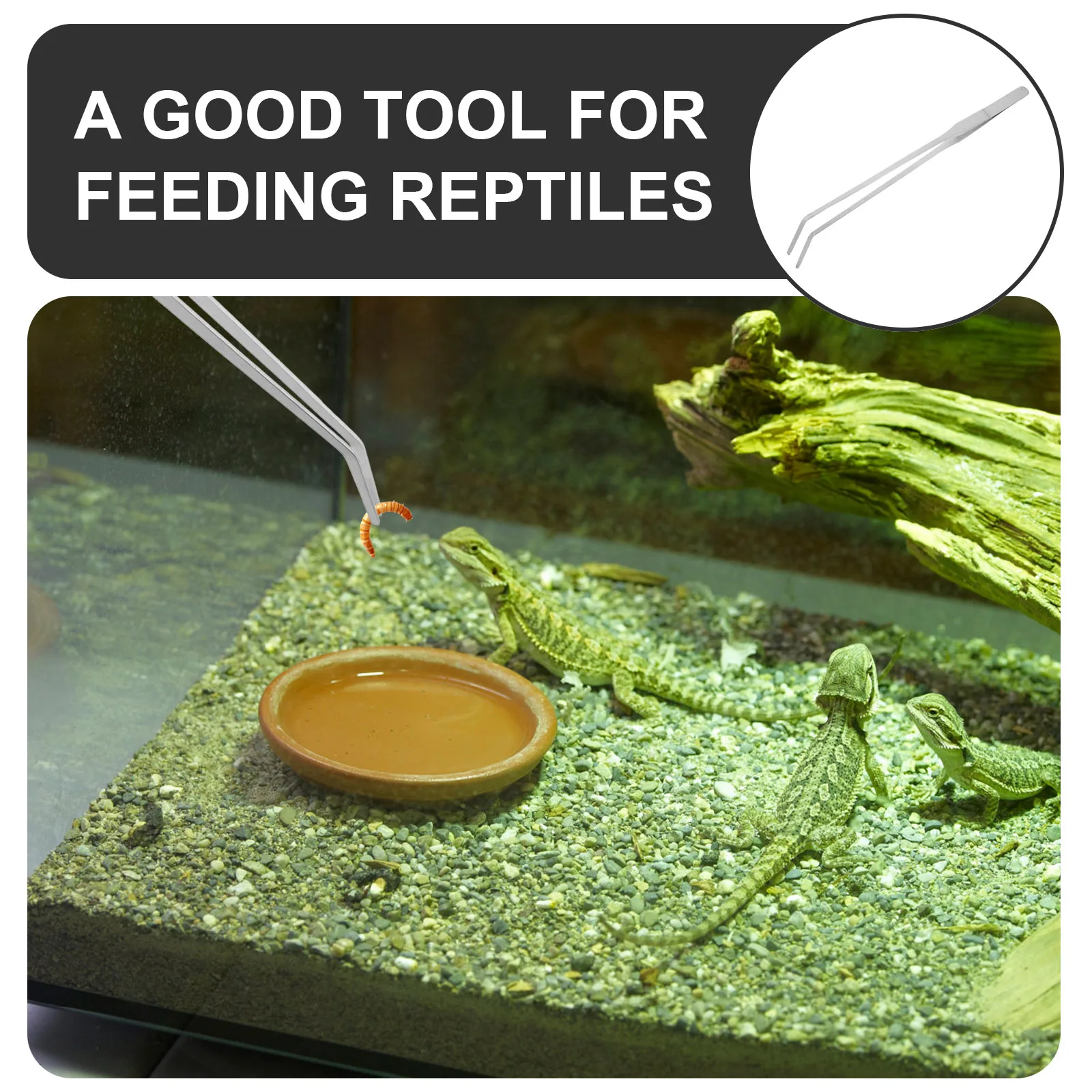 

6Pcs Stainless Steel Curved Aquarium Tweezers Bent Tip Plant Landscaping Tool Fish Tank Reptile Feeding Tong Bearded Dragon