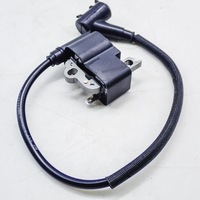 TS 700 TS 800 Ignition Coil TS700 TS800 4224 400 1301, 4224 400 1302, 4224 400 1307