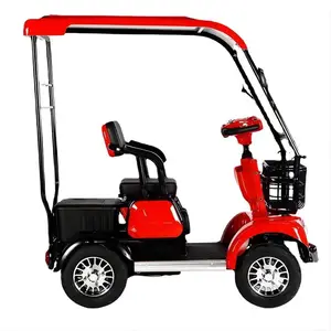 Elektrische Fahrrad für Erwachsene für Menschen mit Touristen 48 V 60 V 800W Vierrad Elektrischer Roller 12 Hauptverkauf Erwachsener Elektromotorrad - №12