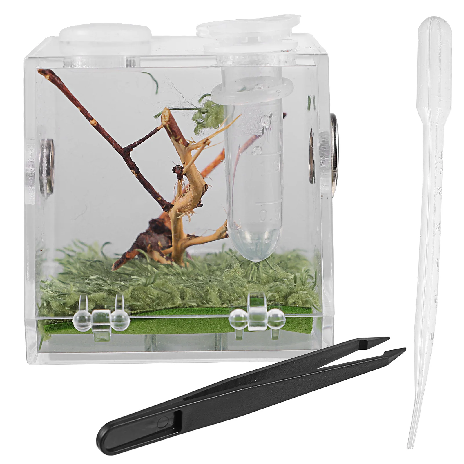 

Reptile Breeding Box Transparent Acrylic Terrarium Portable Ventilated Cage with Dropper Forceps for Spider Crab Turtle Pet
